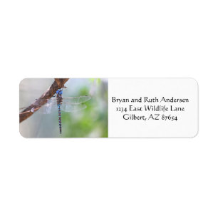Blue - Eyed Darner Dragonfly Return Address Label