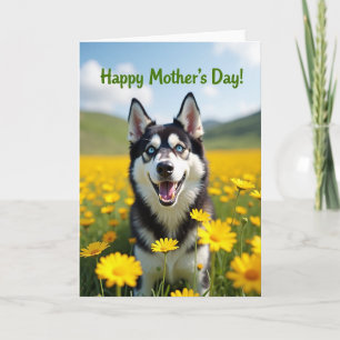 Blue Eyed Dog Mothers Day Card