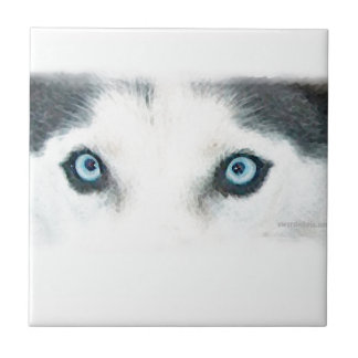 Blue eyed dogs can see the wind ceramic tile