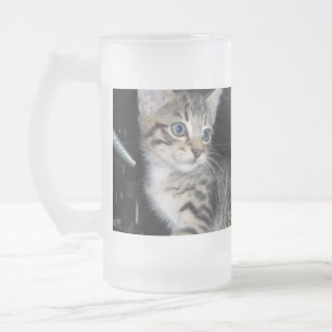 Blue Eyed Fluffy Grey Kitten, Frosted Glass Beer Mug