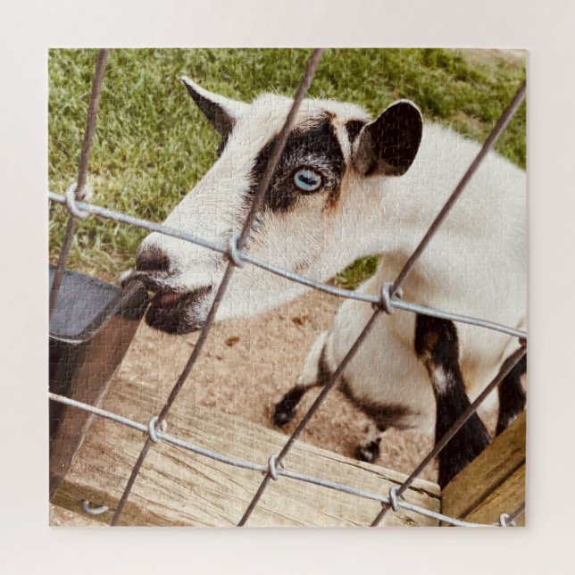 blue eyed goat jigsaw puzzle (Vertical)