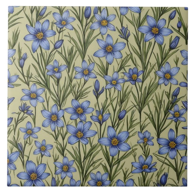 Blue-Eyed Grass flower pattern Ceramic Tile (Front)