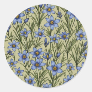 Blue-Eyed Grass flower pattern Classic Round Sticker