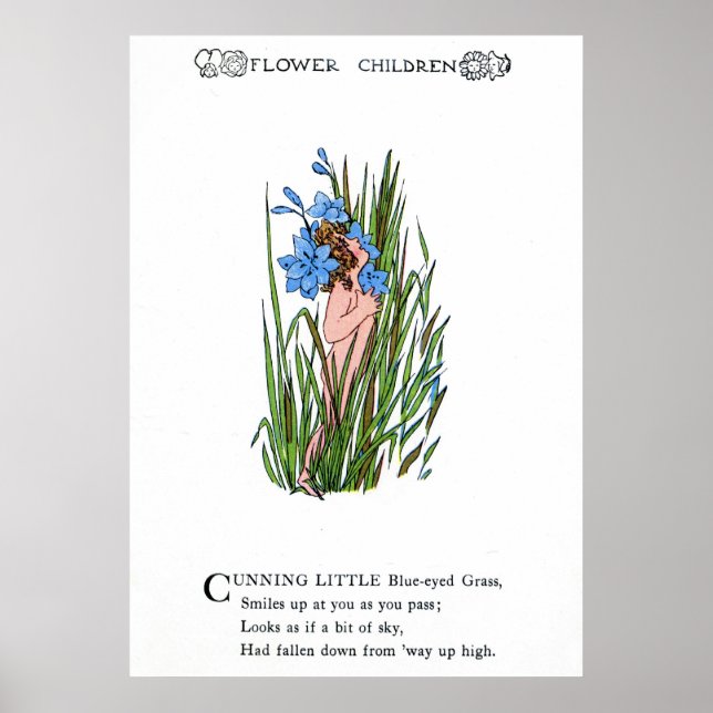 Blue-Eyed Grass Poster (Front)