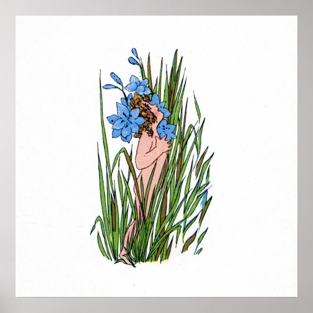 Blue-Eyed Grass Poster (Front)