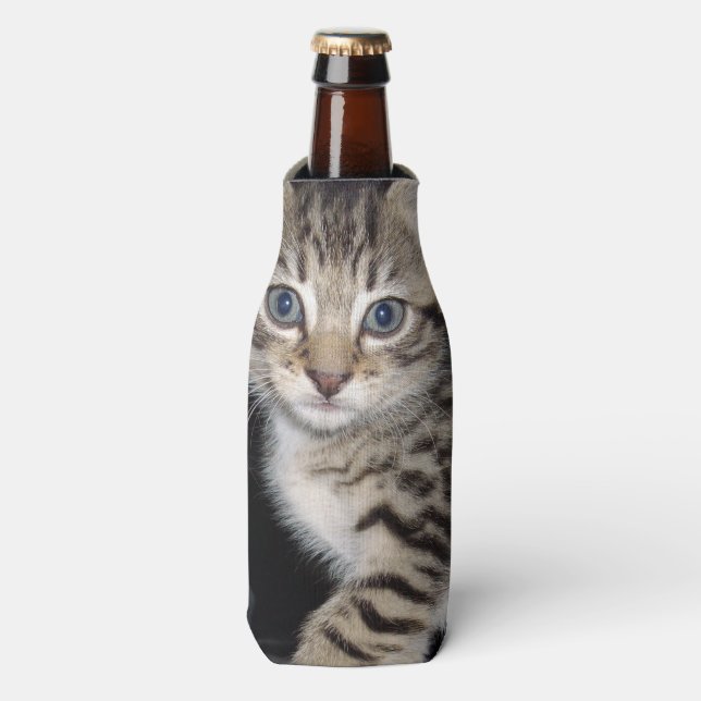 Blue Eyed Grey Fluffy Kitten, Bottle Cooler (Bottle Front)