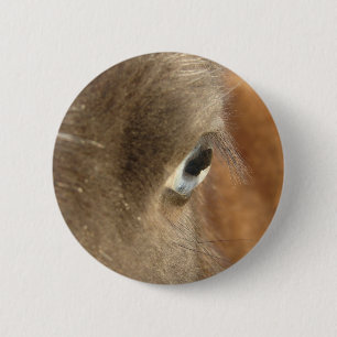 Blue Eyed Horse 6 Cm Round Badge