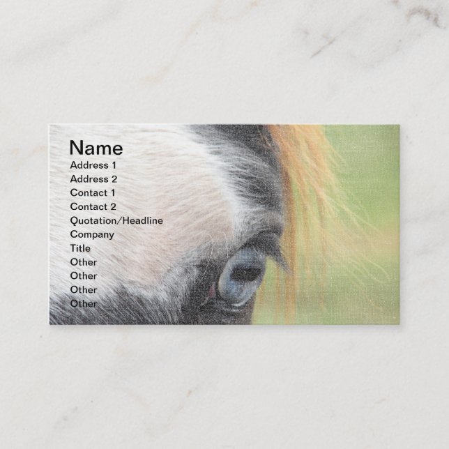 Blue-Eyed Horse Business Card (Front)