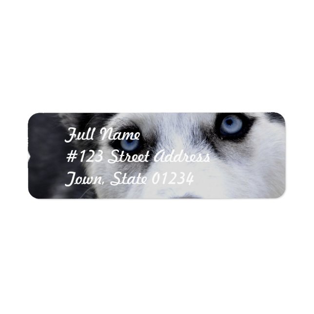 Blue Eyed Husky Mailing Labels (Front)