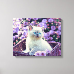 Blue Eyed Kitten Cat In Basket With Purple Flowers Canvas Print