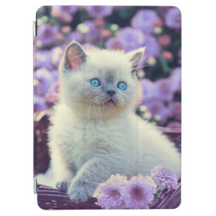 Blue Eyed Kitten In Basket With Lilac Flowers iPad Air Cover