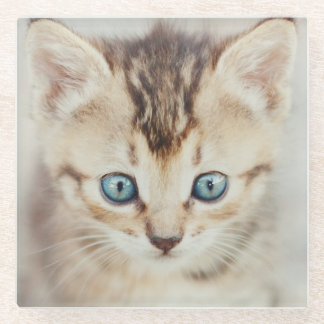 Blue Eyed Kitty Glass Coaster (Front)