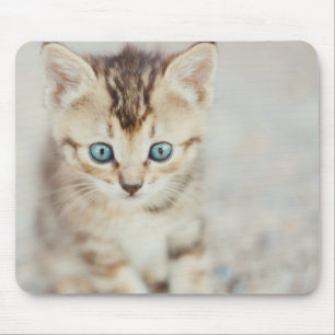 Blue Eyed Kitty Mouse Pad