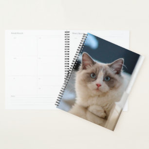 Blue Eyed Kitty Planner