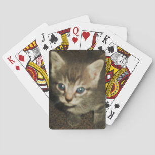 BLUE EYED KITTY playing cards