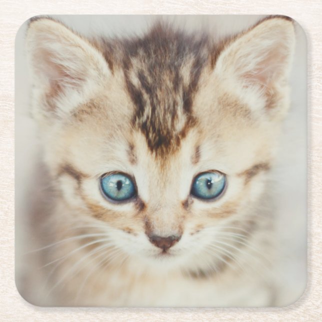 Blue Eyed Kitty Square Paper Coaster (Front)