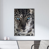 Blue Eyed Leopard Photography Art