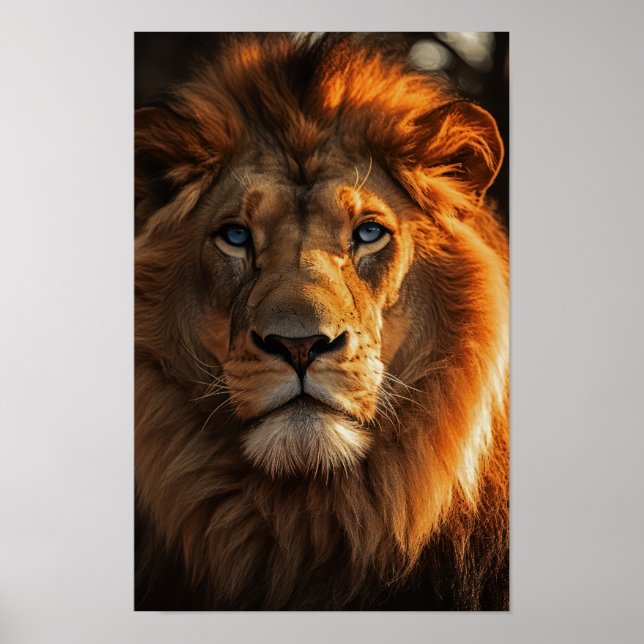 Blue Eyed Lion Poster (Front)