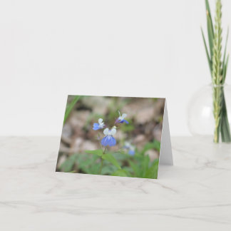 Blue-eyed Mary Notecard