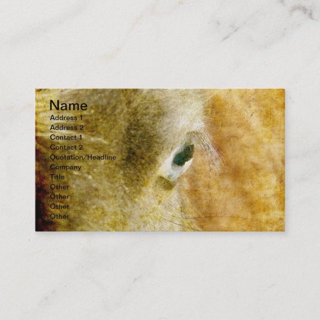 Blue Eyed Mini Filly Grunge Business Card (Front)