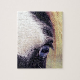 Blue Eyed Pinto Jigsaw Puzzle