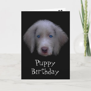 Blue-Eyed Puppy Birthday Card