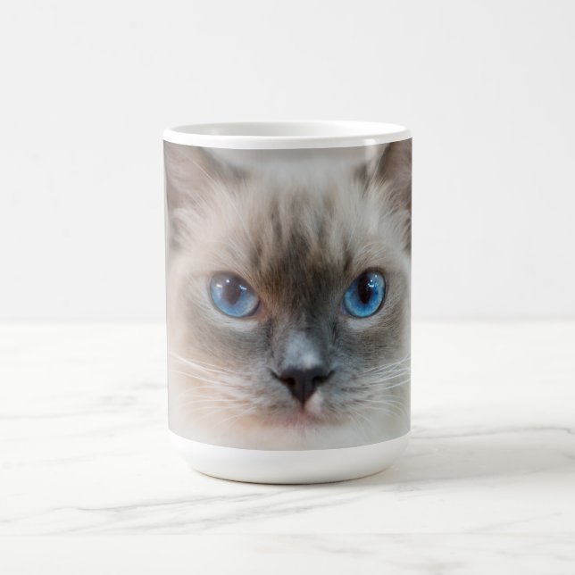 Blue Eyed Ragdoll‎ Cat Coffee Mug (Center)