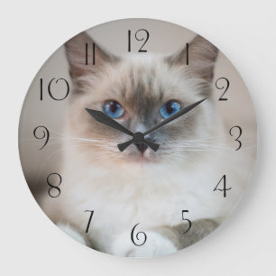 Blue Eyed Ragdoll Cat Large Clock