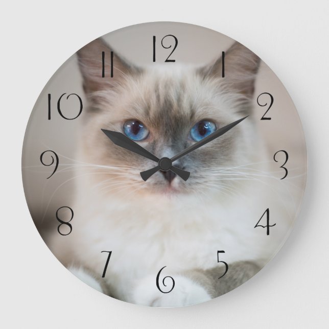 Blue Eyed Ragdoll‎ Cat Large Clock (Front)