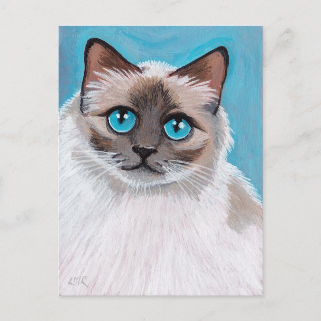 Blue Eyed Ragdoll Cat Portrait Postcard (Front)