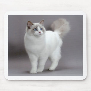 Blue-Eyed Ragdoll Cat Purfection Mouse Pad