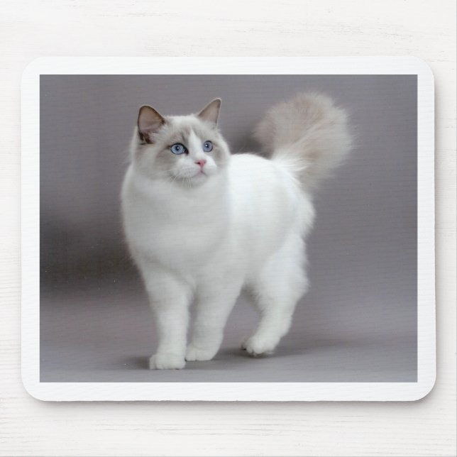 Blue-Eyed Ragdoll Cat Purfection Mouse Pad (Front)