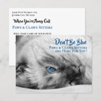 Blue Eyed Siamese Pet Sitter's Custom Postcard