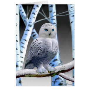 BLUE-EYED SNOW OWL