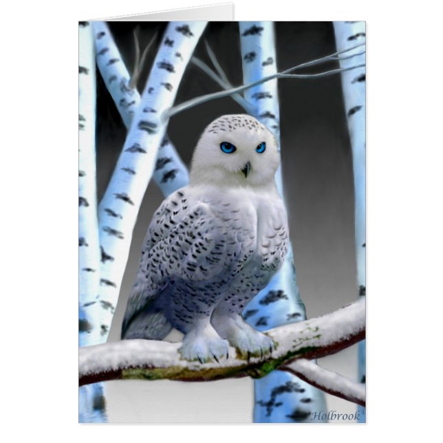 BLUE-EYED SNOW OWL (Front)