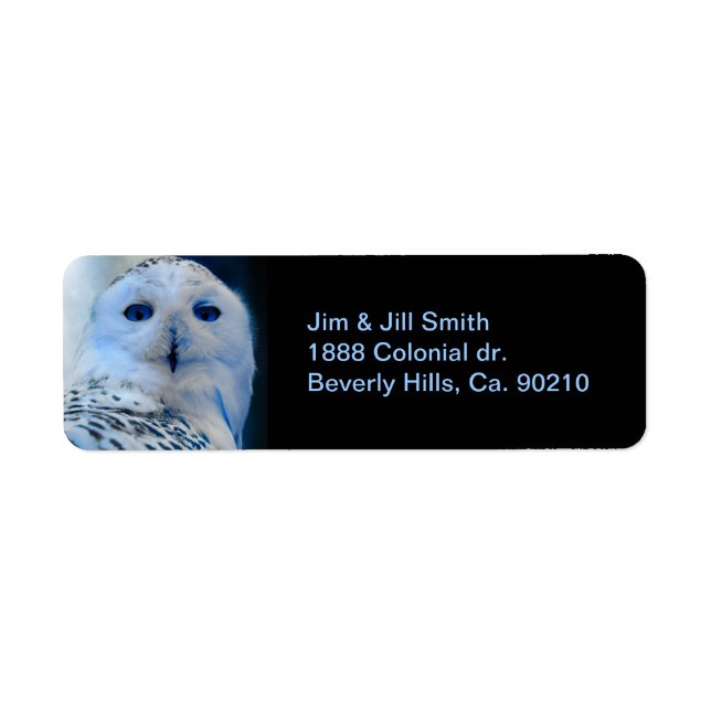 Blue Eyed Snow Owl Return Address Label (Front)