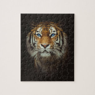 Blue eyed tiger puzzle