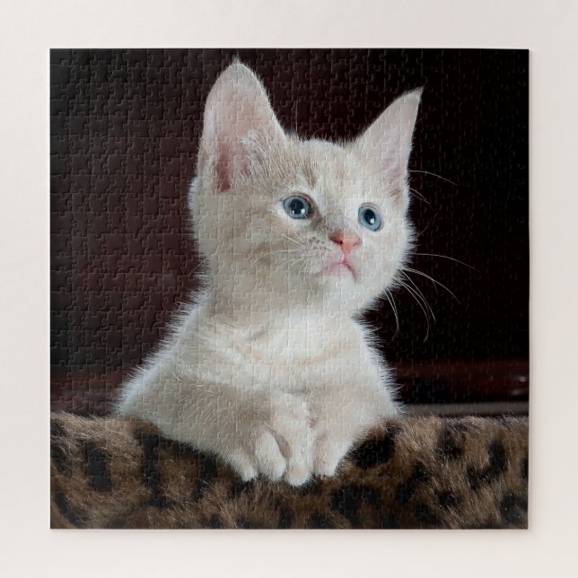 Blue Eyed White Kitten Jigsaw Puzzle (Vertical)
