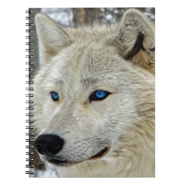 Blue eyed White Wolf Notebook (Front)