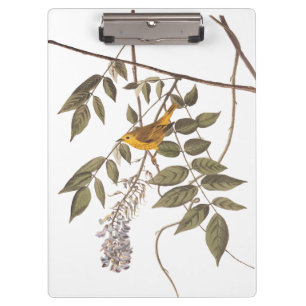 Blue-Eyed Yellow Warbler Audubon Bird on Wisteria Clipboard