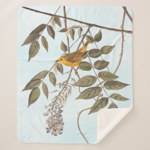Blue-Eyed Yellow Warbler Audubon Bird on Wisteria Sherpa Blanket