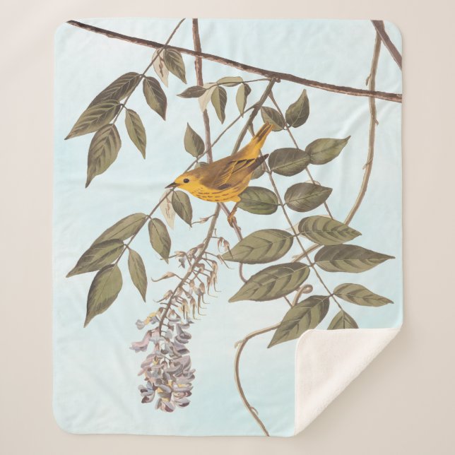 Blue-Eyed Yellow Warbler Audubon Bird on Wisteria Sherpa Blanket (Front)