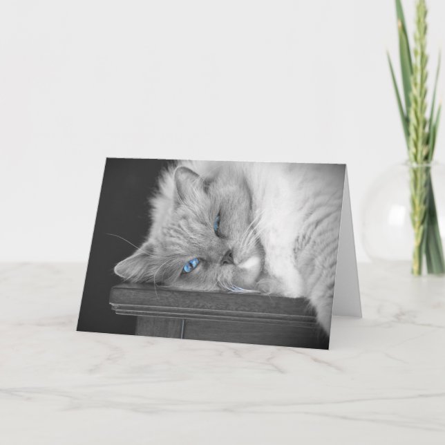 Blue Eyes, card (Front)