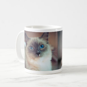 Blue Eyes Cats Coffee Mug