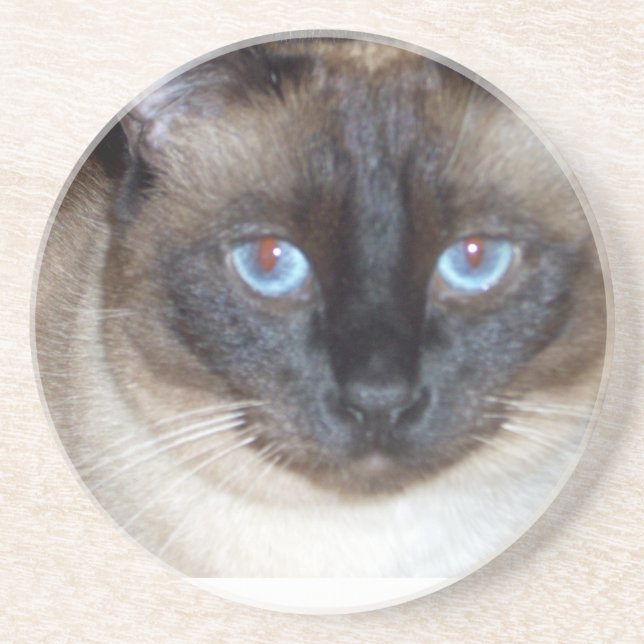 Blue Eyes Coaster (Front)