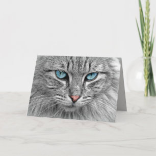 Blue eyes greeting card