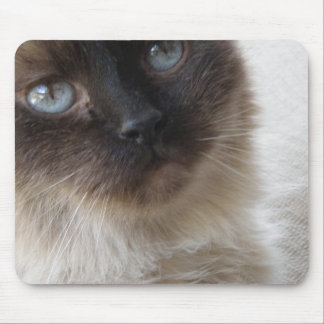 Blue Eye's Kitty Mousepad