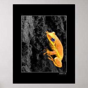 Blue Eyes Poster