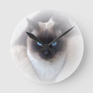 Blue eyes siamese cat round clock
