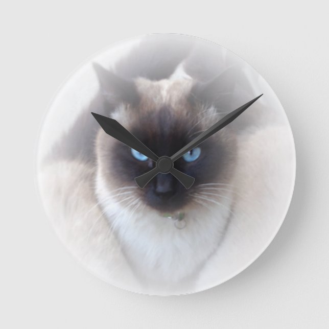Blue eyes siamese cat round clock (Front)